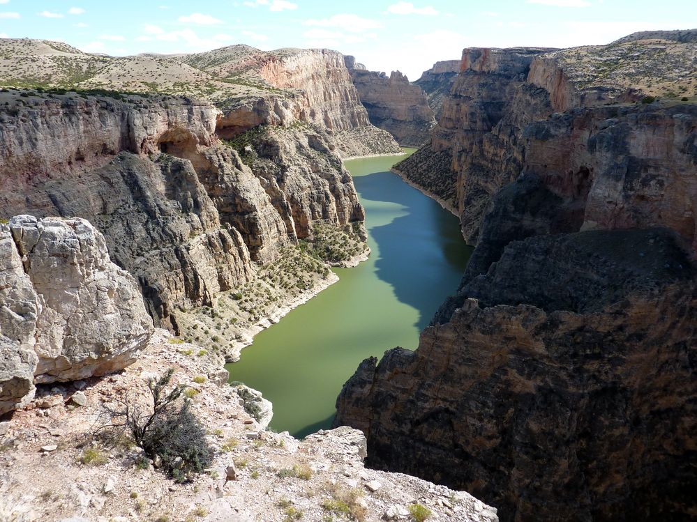 Big horn N.P_28.JPG